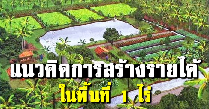 แนวคิด การสร้างรายได้ในพื้นที่ 1 ไร่