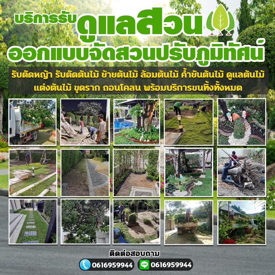 รับตัดหญ้าอำเภอเมือง นนทบุรี