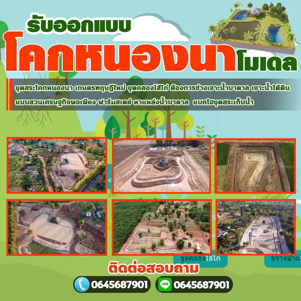 โคกหนองนาสุรินทร์