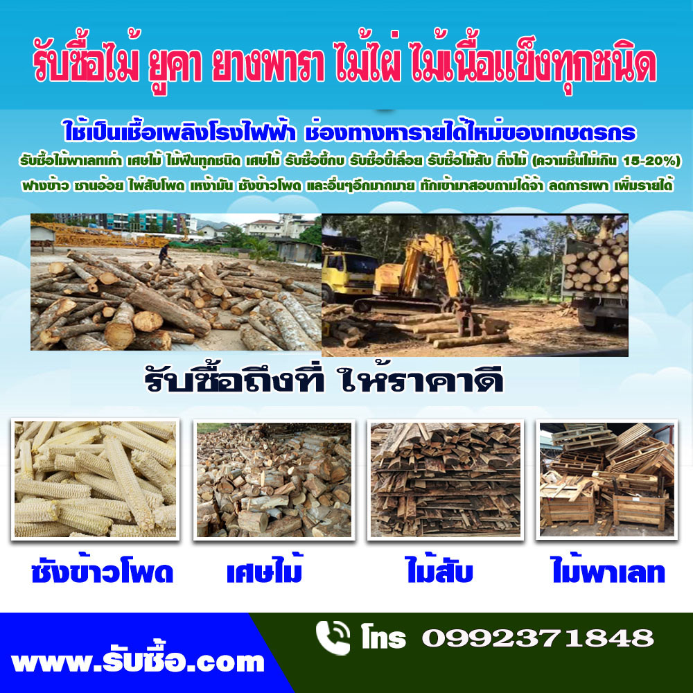 รับซื้อเศษไม้อำเภอคูเมือง